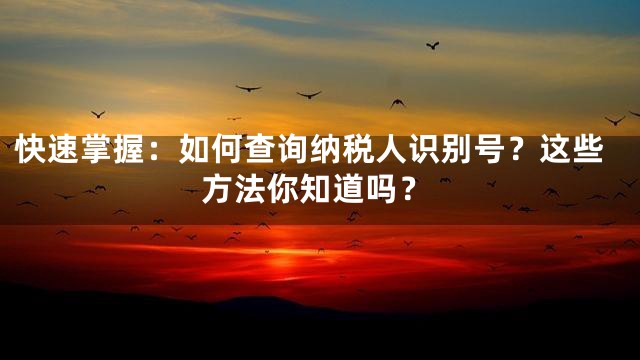 快速掌握：如何查询纳税人识别号？这些方法你知道吗？