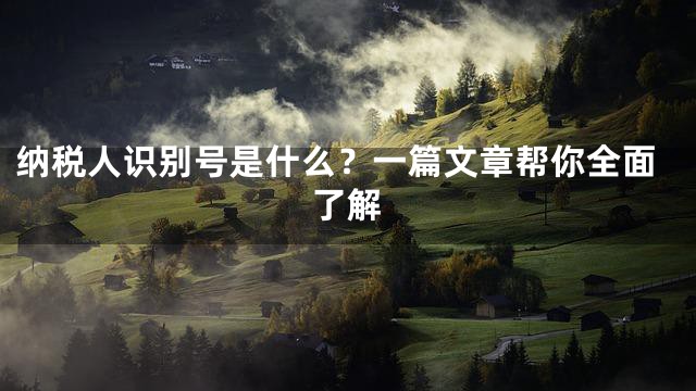 纳税人识别号是什么？一篇文章帮你全面了解