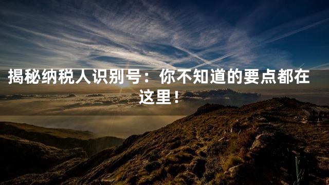 揭秘纳税人识别号：你不知道的要点都在这里！