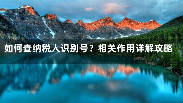 如何查纳税人识别号？相关作用详解攻略