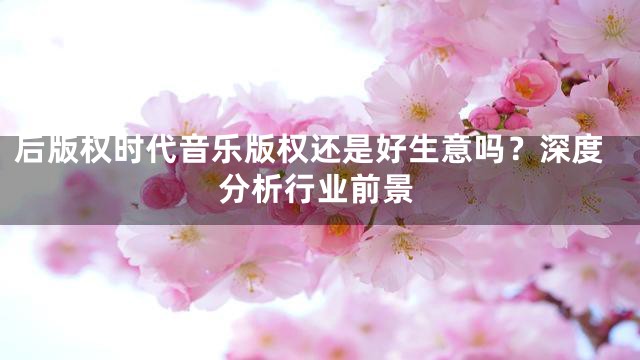 后版权时代音乐版权还是好生意吗？深度分析行业前景
