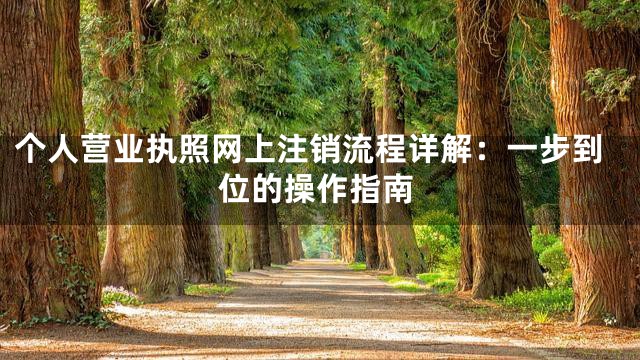 个人营业执照网上注销流程详解：一步到位的操作指南