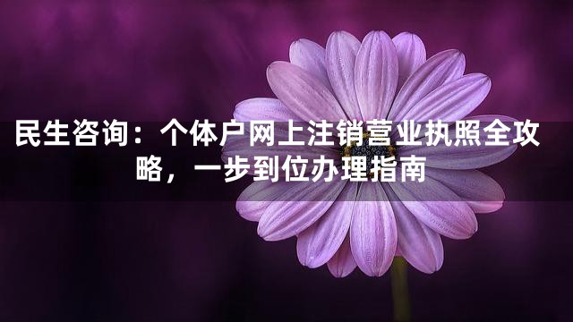 民生咨询：个体户网上注销营业执照全攻略，一步到位办理指南