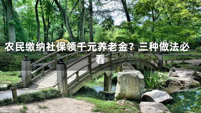 农民缴纳社保领千元养老金？三种做法必看