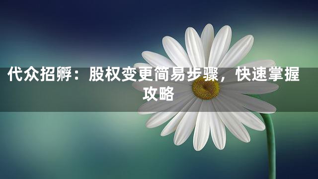 代众招孵：股权变更简易步骤，快速掌握攻略