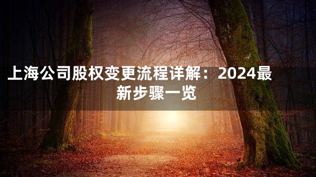 上海公司股权变更流程详解：2024最新步骤一览