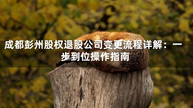 成都彭州股权退股公司变更流程详解：一步到位操作指南