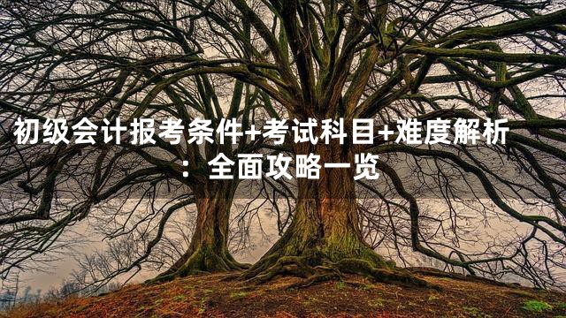 初级会计报考条件+考试科目+难度解析：全面攻略一览