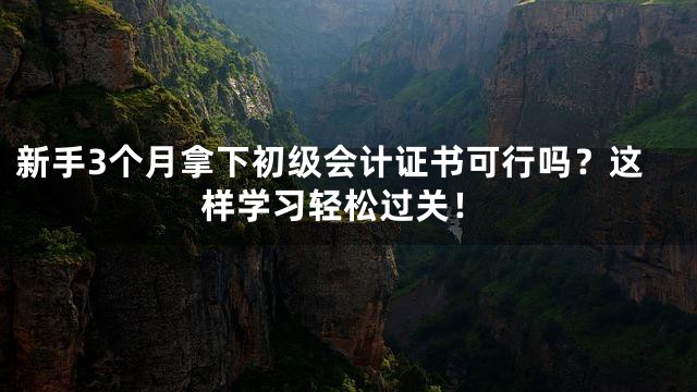 新手3个月拿下初级会计证书可行吗？这样学习轻松过关！