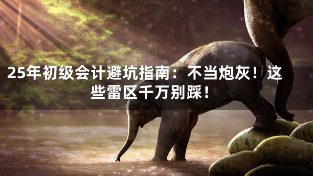 25年初级会计避坑指南：不当炮灰！这些雷区千万别踩！