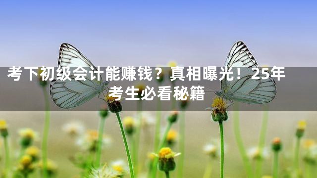 考下初级会计能赚钱？真相曝光！25年考生必看秘籍