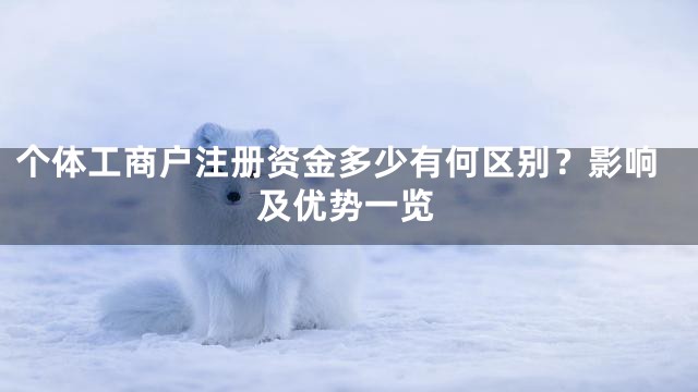 个体工商户注册资金多少有何区别？影响及优势一览