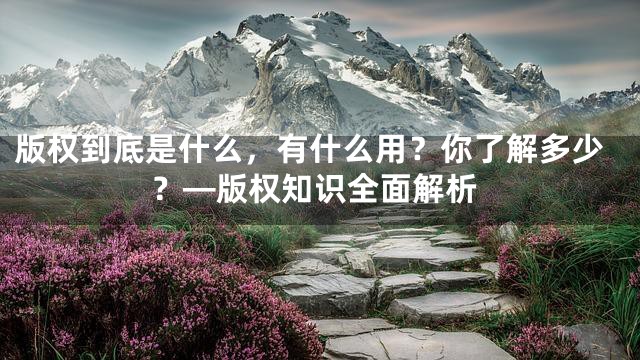 版权到底是什么，有什么用？你了解多少？—版权知识全面解析
