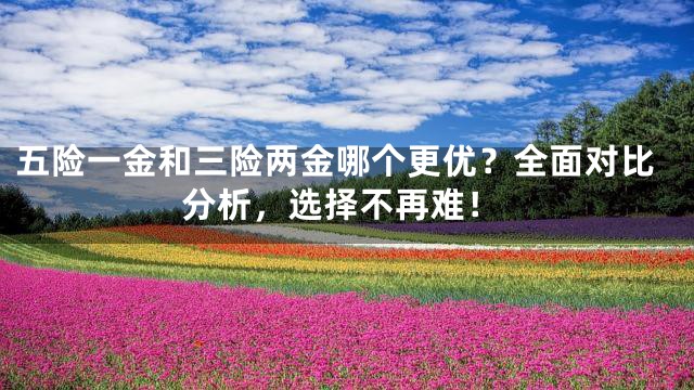 五险一金和三险两金哪个更优？全面对比分析，选择不再难！