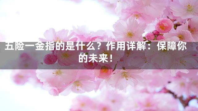 五险一金指的是什么？作用详解：保障你的未来！