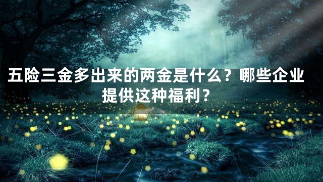 五险三金多出来的两金是什么？哪些企业提供这种福利？