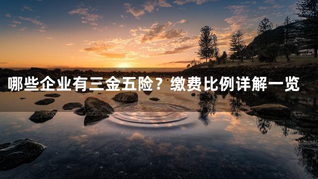 哪些企业有三金五险？缴费比例详解一览