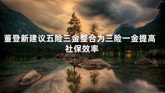 董登新建议五险三金整合为三险一金提高社保效率