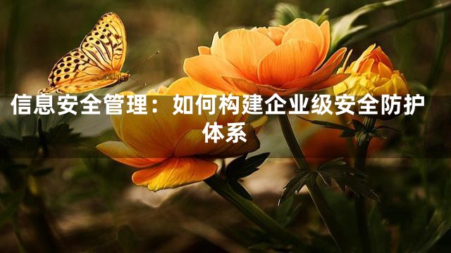 信息安全管理：如何构建企业级安全防护体系