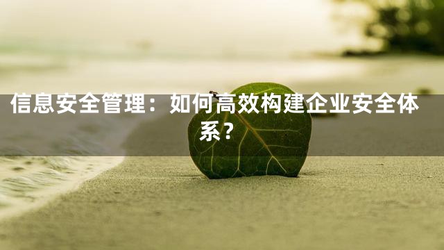 信息安全管理：如何高效构建企业安全体系？