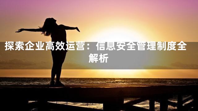 探索企业高效运营：信息安全管理制度全解析