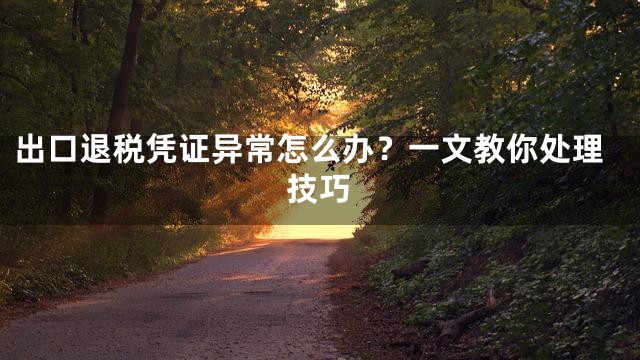 出口退税凭证异常怎么办？一文教你处理技巧