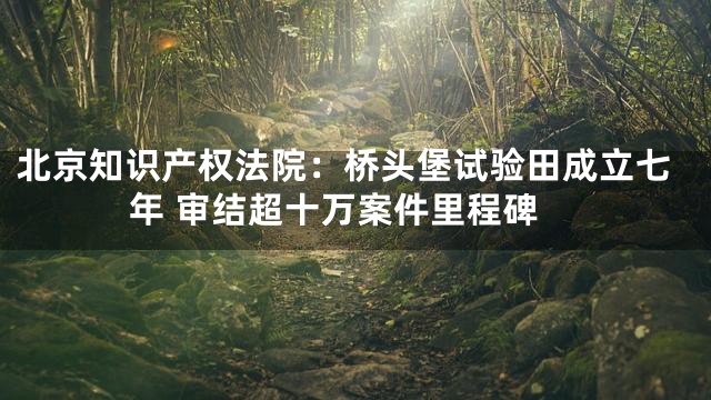 北京知识产权法院：桥头堡试验田成立七年 审结超十万案件里程碑