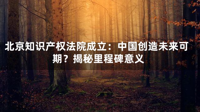 北京知识产权法院成立：中国创造未来可期？揭秘里程碑意义
