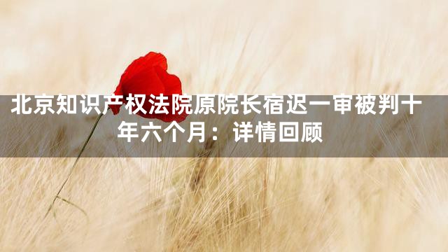 北京知识产权法院原院长宿迟一审被判十年六个月：详情回顾