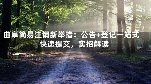 曲阜简易注销新举措：公告+登记一站式快速提交，实招解读