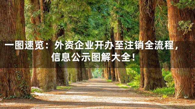一图速览：外资企业开办至注销全流程，信息公示图解大全！