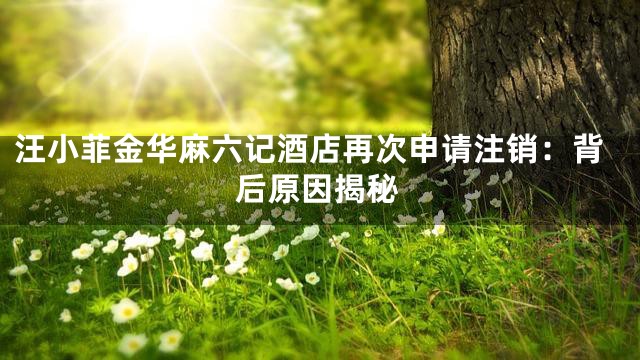 汪小菲金华麻六记酒店再次申请注销：背后原因揭秘