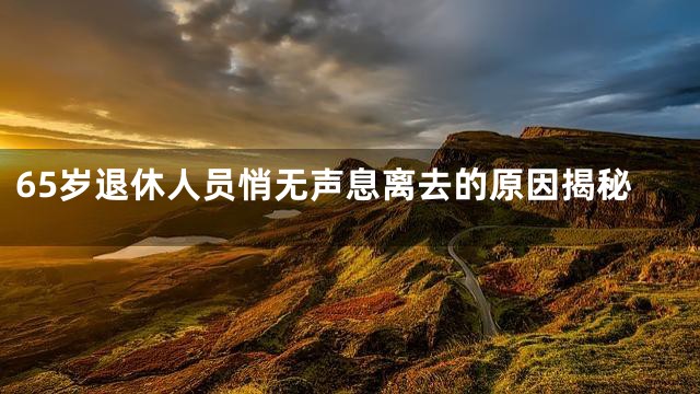 65岁退休人员悄无声息离去的原因揭秘