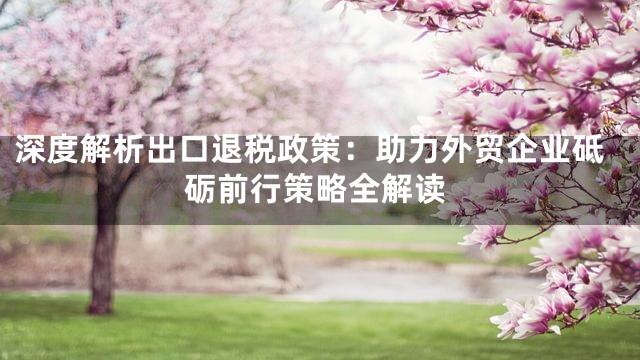 深度解析出口退税政策：助力外贸企业砥砺前行策略全解读