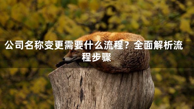 公司名称变更需要什么流程？全面解析流程步骤