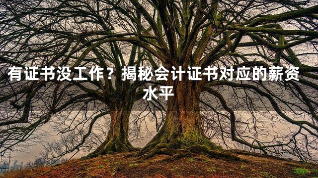 有证书没工作？揭秘会计证书对应的薪资水平