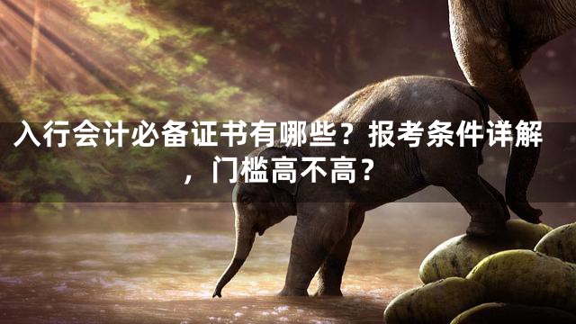 入行会计必备证书有哪些？报考条件详解，门槛高不高？