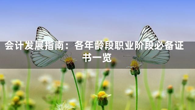 会计发展指南：各年龄段职业阶段必备证书一览