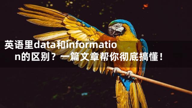 英语里data和information的区别？一篇文章帮你彻底搞懂！