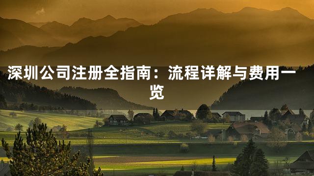 深圳公司注册全指南：流程详解与费用一览