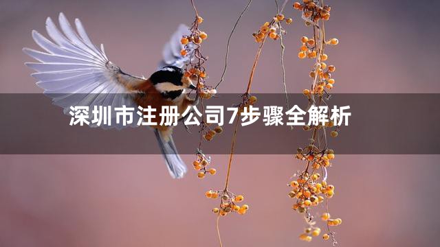 深圳市注册公司7步骤全解析
