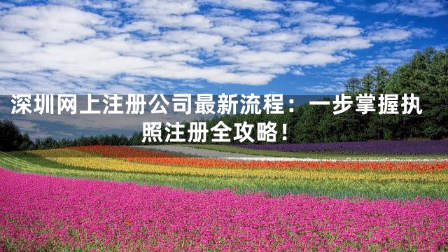 深圳网上注册公司最新流程：一步掌握执照注册全攻略！