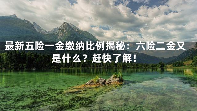 最新五险一金缴纳比例揭秘：六险二金又是什么？赶快了解！