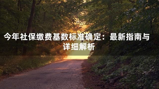 今年社保缴费基数标准确定：最新指南与详细解析