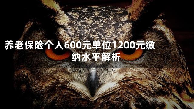 养老保险个人600元单位1200元缴纳水平解析