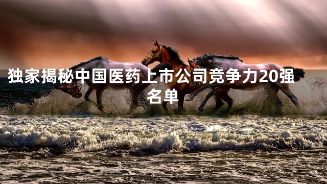 独家揭秘中国医药上市公司竞争力20强名单