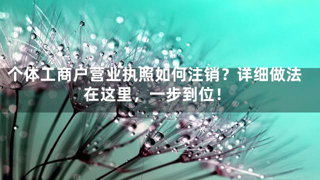 个体工商户营业执照如何注销？详细做法在这里，一步到位！