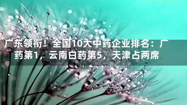 广东领衔！全国10大中药企业排名：广药第1，云南白药第5，天津占两席