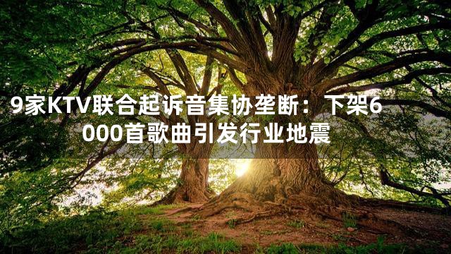 9家KTV联合起诉音集协垄断：下架6000首歌曲引发行业地震