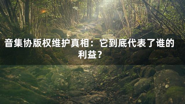 音集协版权维护真相：它到底代表了谁的利益？